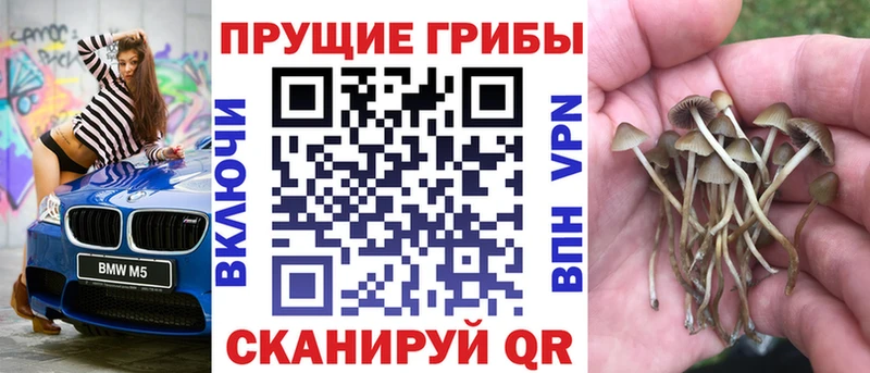 Купить закладки  Ленск  Псилоцибиновые грибы прущие грибы 
